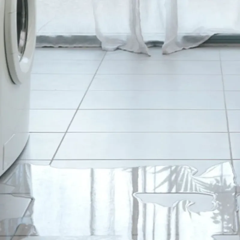 Appliance Leak Cleanup in Beauregard Parish, LA