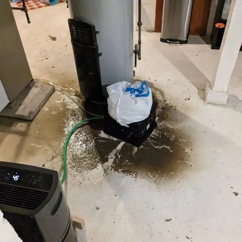 Sewage Backup Cleanup Service in Beauregard Parish, LA